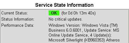 Windows update check service detail